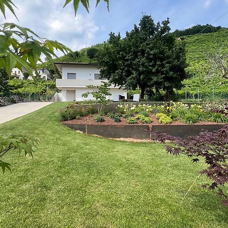 El Zhigol B&B Farra di Soligo ภายนอก รูปภาพ